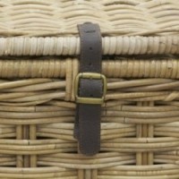 Pnia w szarym słupie