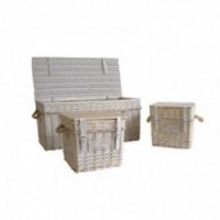 Bielone pnie wiklinowe i liny