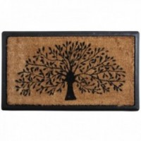 Opieka kokosowa drzewa