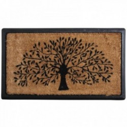 Opieka kokosowa drzewa