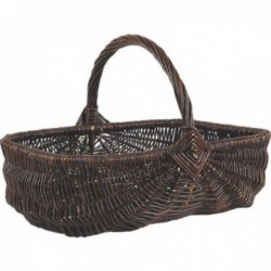 Raaka paju sieni kori