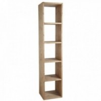 Shelf 5 kostek w woskowanym drewnie