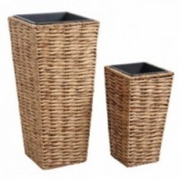 Garnek wysokich kwiatów jacinthe i polipropylen