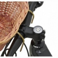 Wiklinowy dziecko rowerowy