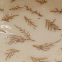 Drewniana okrągła miska i dekoracje żywiczne Fern Ø 25 cm