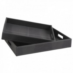 Tace w szarej jaszczurce...