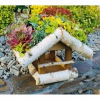 Puinen lintujen syöttölaite roikkuu katolla kasvi