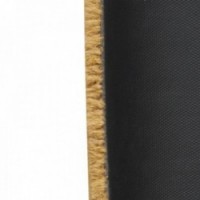 Coco Coconut Deer Deer