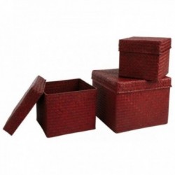 Zestaw 3 przyciemnianych palm