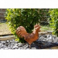 Metal rooster to plant rusty effect