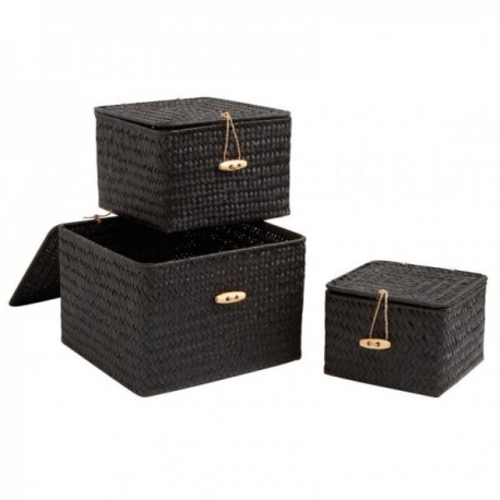 Set of 3 boxes in black stained palm