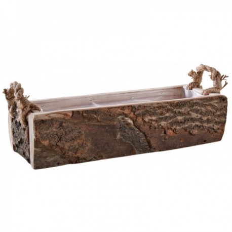 Paulownia brutto drewniany sadzarka