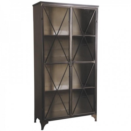 Metal and glass cabinet with 2 doors