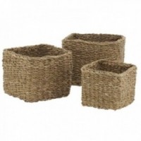 Set of 3 natural rush planters