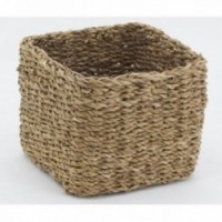 Paljon 3 ruukkuja luonnollisessa joncissa