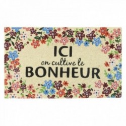 Kwiat Paflasson Hapfie Coco...