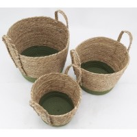 Set of 3 planters in green dyed rush and cotton