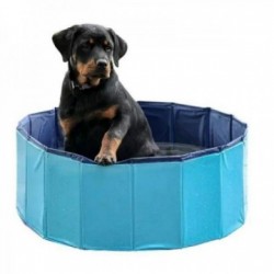 Petitto Diamentic Blue Dog...