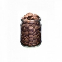 Fresh Fresh Food Muscles & Fish Adult Fish 12 Kg