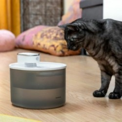 Fontaine pour Chats Rechargeable avec Détecteur Refopet
