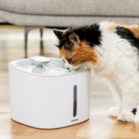 Pet Fountain Drintatt Innovagoods