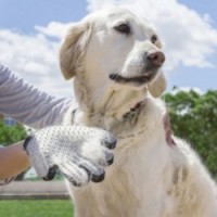 Guanto per spazzolare e massaggiare Animali domestici Cat Dog