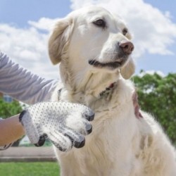 Guanto per spazzolare e massaggiare Animali domestici Cat Dog