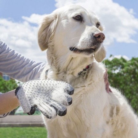 Handschoen om in huishoudelijke dieren kattenhond te masseren en te masseren Handschoen om in huishoudelijke dieren kattenhond te masseren en te masseren