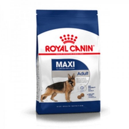 Royal Canine Maxi Adult 15 Kg Adult