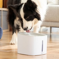 Fontän för Cat Dog Pet Drinkatt