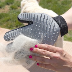 Glove to brush and massage domestic animals cat dog
