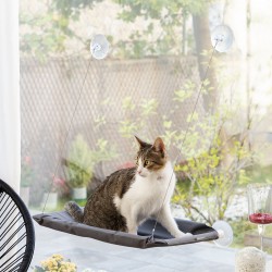 Hængende hængekøje til catlax katte