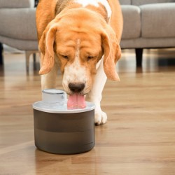 Fountain for oppladbare katter med refopet detektor