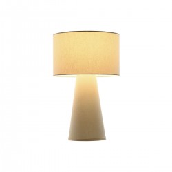 Metal desk lamp 50 W 220 V 32 x 32 x 50.5 cm