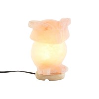 Lampada da ufficio Forma Gufo rosa Sale di pietra rosa 15 W 220 V - 14 x 14 x 18 cm