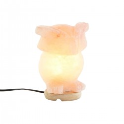 Lampada da ufficio Forma Gufo rosa Sale di pietra rosa 15 W 220 V - 14 x 14 x 18 cm