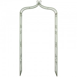 Green lacquered metal garden ark, climbing plants