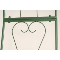 Green lacquered metal garden ark, climbing plants