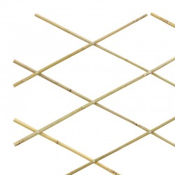 Stretch Wall Bamboo Wall Mount for klatring planter