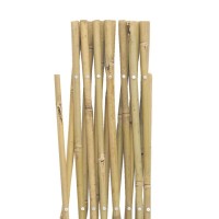 Stretch Wall Bamboo Wall Mount til klatring planter