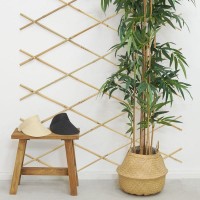 Stretch Wall Bamboo Wall Mount voor klimplanten