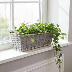 Plantador de vime e madeira cinza com alças