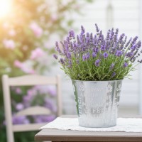 Cache-pot rond en métal laqué doré et argenté motif mots Amour, Bonheur et Petits Plaisirs ø 13 cm