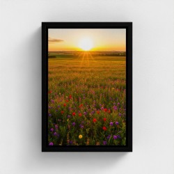 Maleri print på lærred portræt natur af solnedgang i en eng af flerfarvede blomster