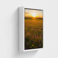 Impressão de pintura na natureza retrato natureza do pôr do sol em um prado de flores multicoloridas