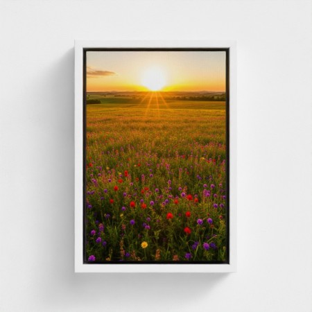 Impressão de pintura na natureza retrato natureza do pôr do sol em um prado de flores multicoloridas