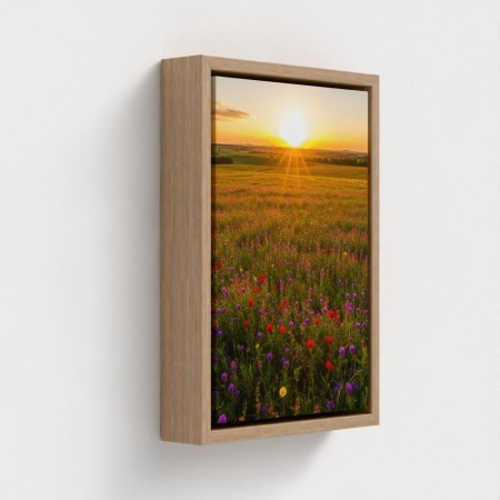 Maleri Skriv ut på lerret Portrett Natur av solnedgang i en eng av flerfarget blomster