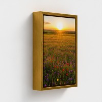 Malerei Druck auf Leinwand Porträt Natur des Sonnenuntergangs in einer Wiese von mehrfarbigen Blumen