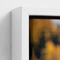 Tafelprint op canvas landschap Natuurvogel met vleugels ingezet vliegen over water