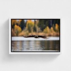 Tableau impression sur toile Paysage nature oiseau aux ailes déployées volant au-dessus de l’eau